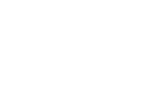 Festival tour packages in India