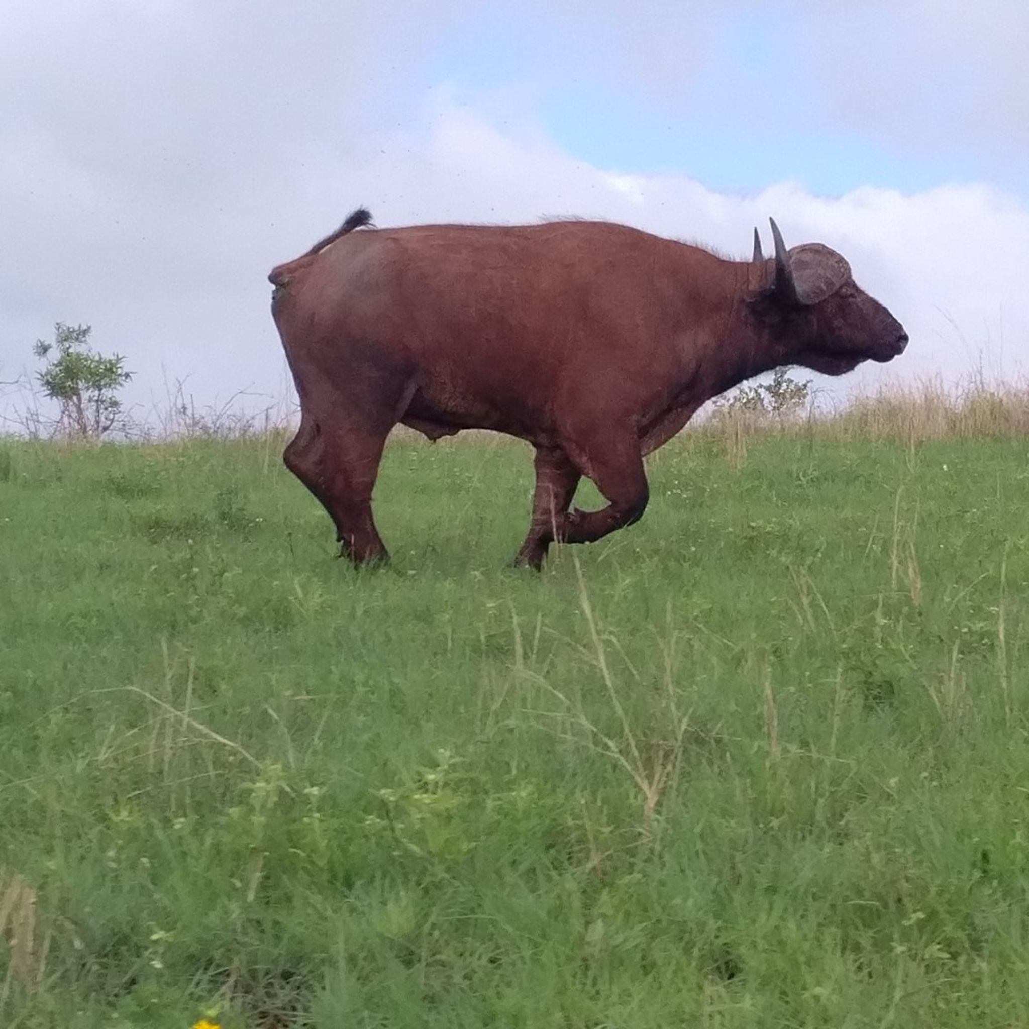 Festival tour packages in India